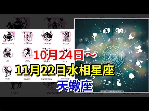 11/22天蠍女|天蠍座（10/23～11/22），性格特質、優點、缺點、愛。